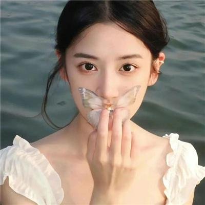双生赤狐